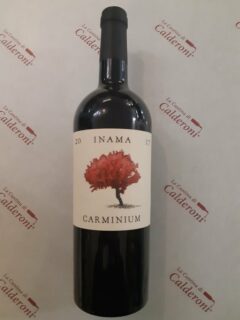 Carmenere Carminium Colli Berici DOC Inama lt 0.75
