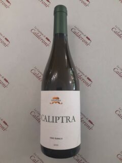 Trebbiano Caliptra Marche Bianco IGT Cà Liptra lt 0.75