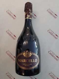 Lambrusco Marcello IGT Ariola lt 0.75