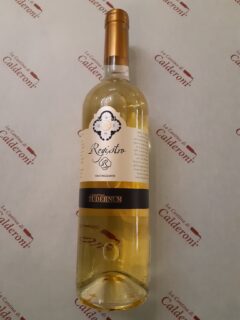 Riesling Frizzante IGT Tudernum lt 0.75